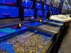 -万宝海鲜舫(劳动公园店)