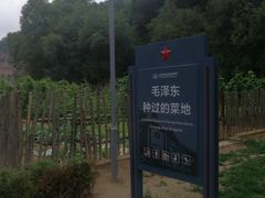 -延安杨家岭革命旧址