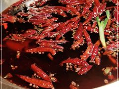 -小龙坎火锅(春熙太古里店)