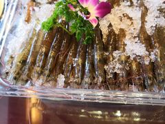 -老码头火锅(骡马市店)