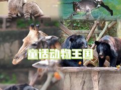 -长鹿旅游休博园