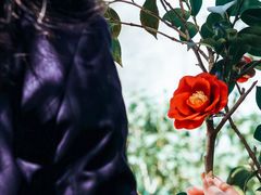 -蜀冈西峰生态公园