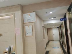 -碧莲盛·不剃发植发