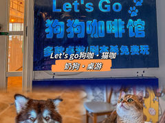 -Let's go狗咖·猫咖·奶狗·桌游(春熙路IFS店)
