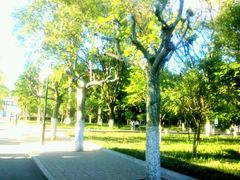 -山东大学(洪家楼校区)