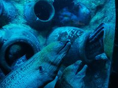 -太平洋海底世界