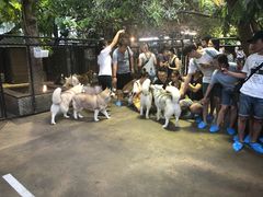 -TrueLove @ Neverland (Husky Cafe)
