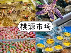 -桃源市场(解放路店)