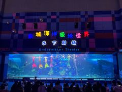 -泉城欧乐堡海洋极地世界