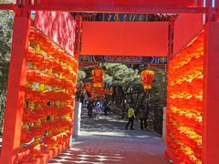 -红螺寺