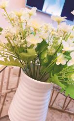 -女王智慧母婴健康护理·产后恢复中心