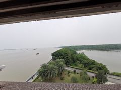 -大湾区中央湿地公园