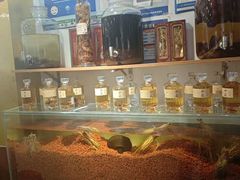 -喜来酌海鲜·饺子(和平一店)