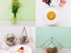 -蝶舍·MAISON PAPILLON