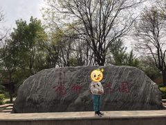 -杨柳青庄园