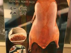 -悦融琥珀·京鲁菜·海味珍品(西单店)