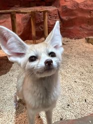 -Zoolung Zoolung动物主题公园(海信广场店)