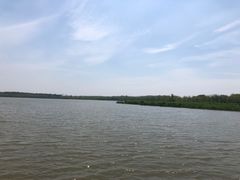 -西青郊野公园