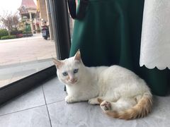 -碧海银沙海鲜餐厅(恒大海上威尼斯店)