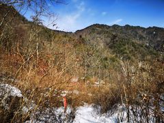-秦岭风景区