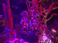 -沈阳海洋探索中心