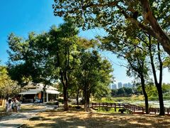 -青龙山国家森林公园