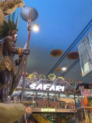 -卡通尼·Safari非洲探索乐园·生日会(金桥国际商业广场店)