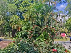 -人民公园(罗湖区)