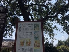 -青羊宫