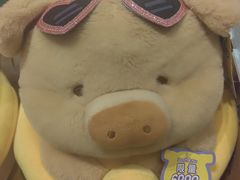 -九木杂物社(中心店)