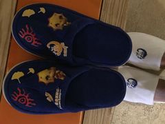 -常州环球恐龙城维景国际大酒店