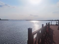 -莲花岛景区