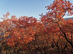 -周口店坡峰岭风景区