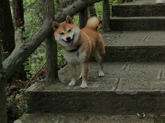 -西溪南古村落
