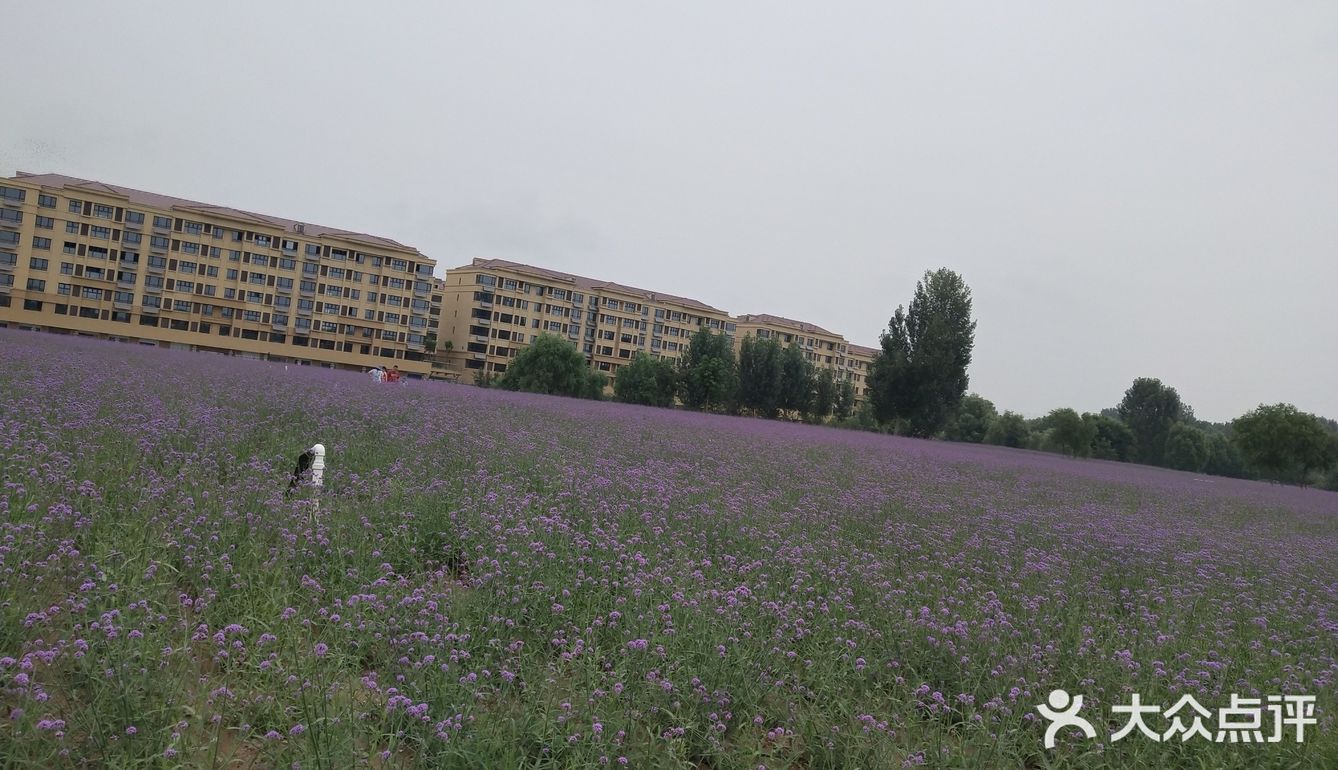春暖花开，又到了踏春赏花的时候