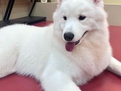 -和它·交个朋友·狗咖猫咖(爱琴海店)