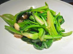油渣生炒菜心-桂满陇天书(南京德基旗舰店)