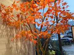 -唐宫足道·SPA·住宿24H会所(木渎店)