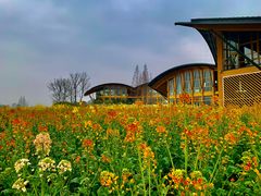 -中国天府农业博览园