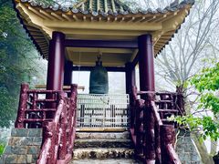-阿里山神木遗迹