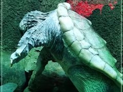 -太平洋海底世界