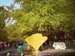 -辽宁大学(崇山校区)