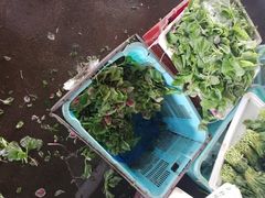 -江杨农产品批发市场