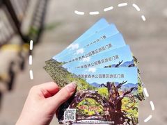 -龙湾潭国家森林公园