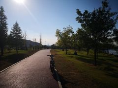 -羊亭河湿地公园