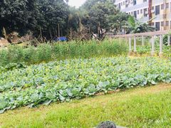 -天河儿童公园