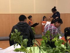 -金宝贝国际早教(洛龙正大校区)