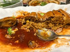 -丁老爷子苏香圆