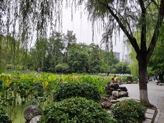 -莲湖公园