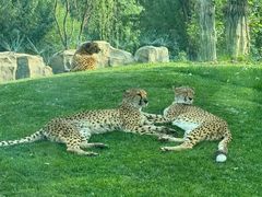 -北京野生动物园